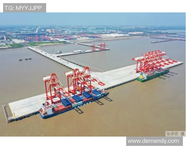 上海海港发展新机遇：推动国际航运枢纽建设与区域经济协同发展