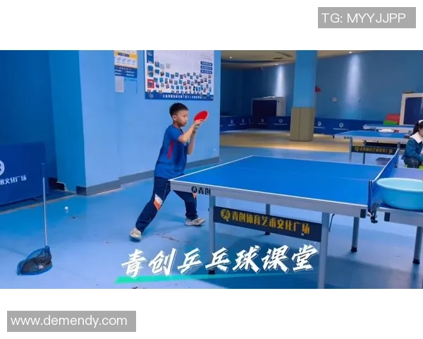 乒乓球技术与战术的完美结合：从基础训练到职业比赛的全面解析